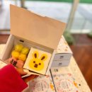 아꼬아 펫 살롱 이미지