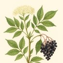(주)The자람