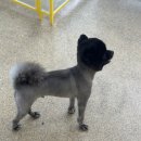 멍무드 살롱 이미지