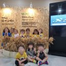 햇볕어린이집 | 🌼 정자동 어린이집 이야기 햇볕은쨍쨍 어린이집, 경험으로 배우는 하루