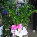 보개모터스 이미지