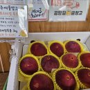 공항길귤창고