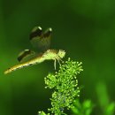 자연마당 이미지