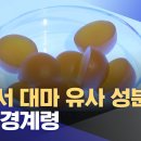 할로원데이 데자뷰인가? 이미지