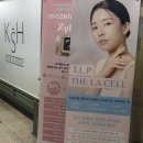 라셀 | 서초피부관리 강성희스킨앤바디 초음파 리프팅관리 TLP 더라셀 관리 후기