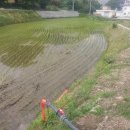 렉스필드 컨트리클럽 이미지