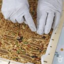 어슬티굿밤 이미지