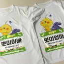 둔산대로 | 2025 대전 댕댕런 5k 후기 💘