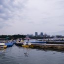 호수공원 10로 Daum카페