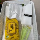 스테이삼랑 이미지