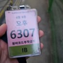 쿠팡 물류센터 알바 후기 고양1센터 IB(입고) 이제는 쿠팡 고인물이 되어버린 나의 삶