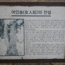 목포 부근
