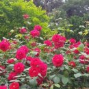 수원하이텍고등학교 이미지