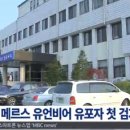 유언비어 - 제천시 | 유언비어