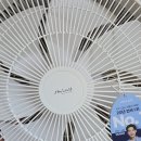 [내돈내산] 신일 BLDC 서큘레이터 솔직 후기｜상하좌우 회전·높이조절 되는 무소음 선풍기