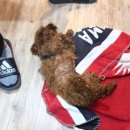 굿바이(GoodBuy) 이미지