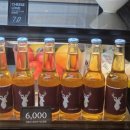 송이커피맥주