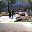 비원비디오 이미지