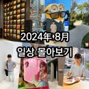 2024年 8月