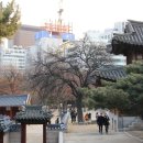 수 덕 정 이미지