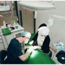 금호치과의원 이미지