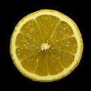 레몬의 꿈 이미지