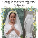 수원교구 중앙성당 이미지