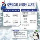 새들의 정원 | 서울 근교 실내 가볼만한곳 새들의 낙원 가평 베고니아새정원 내돈내산 방문 후기