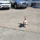 초현펜션 이미지