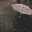 사랑의 노래 이미지