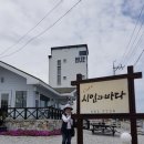 시인과바다 Daum카페