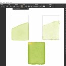 Watercolor Brushes in Corel Painter 2023 이미지