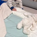 원더랜드어린이집 | [육아용품 후기] 내 돈 내산 일체형 낮잠이불_에콘드...곁 블랭킷_어린이집 준비물/입학 준비물/낮잠...