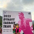 [ 아이랑 태백 여행 ] 2025 태백 트레일러닝 / 하이원...트레인, 정글대탐험, 기구 3종 ( 주말 방문 후기 )