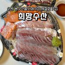 수원 농수산물시장 횟집 정직한 희망수산 포장 솔직리뷰