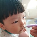 참좋은영어조합법인
