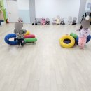 유아체육 Daum카페