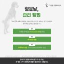괴산동물병원 네이버블로그