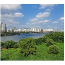 밤섬이야기 이미지