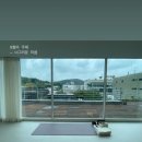 12주 요가 클래스 | 숨 쉬는 고래 TTC 6기 12주 과정 수료 후기 - 2 | 홀로 설 심신의 기반을 만들어주는 곳