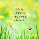 아침햇살 - 부산진구 동천로107번길 12-9 | 아침햇살