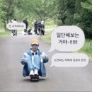 양양이네 | 토론토에 갑자기 여름이 왔어요