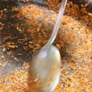 송원노래연습장 | 가성비 최고 순천대 맛집 송원곱창 닭갈비