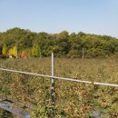 승기농장 이미지