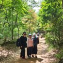 정기나무골 이미지