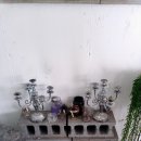 에스피에스타 이미지