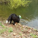 기쁨농장 이미지