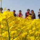 대저카서비스 이미지