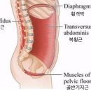 위유필라테스