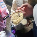 네이버 스마트스토어 (초급)(야간) | 유아숲체험 야간에 떠나는 서울숲 아이고고 별빛 아래 떠나는 밤숲 체험 후기